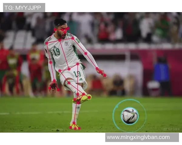 足球明星哈纳斯的职业生涯与成就揭秘你了解多少 足球明星哈纳斯的职业生涯与成就揭秘你了解多少